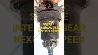 Cara service internalgear nexus 3 speed