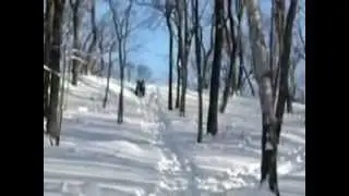DSCN5146