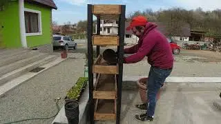 Modalități simple de a crește plante aromatice