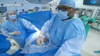 Fetal Center Simulation | Training for Best Outcomes