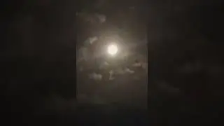 Bu oqshom men O'laman sening chiroying uchun / этой ночью я умру за твою красату