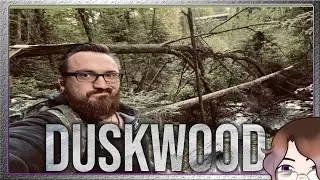 Dan / Duskwood game / aesthetic video