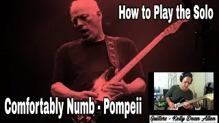 Comfortably Numb Guitar Solo (Pompeii) David Gilmour. Solo Tutorial / Lesson.