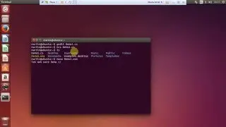 Tek Web Ware - Ubuntu Terminal Only C # Sharp Application