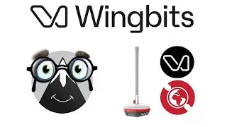 Wingbits Review: New DePIN miner | Hexes, Coverage and Rewards