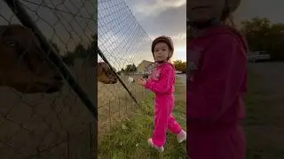 Годування кіз 🐐🐐🐐 