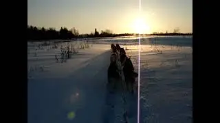Нам не нужны дороги, было бы направление...