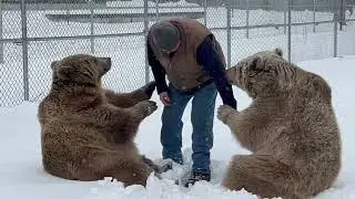 Now Jenny tries putting Jim’s new knee to the test. Is the new knee bear-strong?