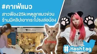 #คาเฟ่แมว