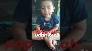 PAPA MAH UDAH KECIL #cute #baby #anak #mainan #lucu #edukasi