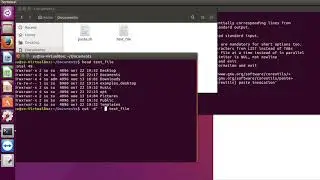 Linux command paste.