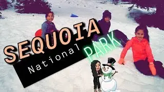 SEQUOIA NATIONAL PARK!! SNOW DAY!
