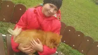 Просто Пёсик 🐶🐕