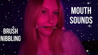 АСМР ГРЫЗУ КИСТЬ || ЗВУКИ РТА, ВИЗУАЛКИ🤍 || ASMR BRUSH NIBBLING || MOUTH SOUNDS, VISUAL TRIGGERS💫