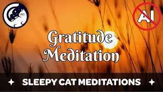 Powerful Meditation for Gratitude and Appreciation