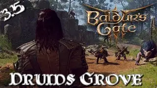 The Druids Grove Part 1 #3.5 (Baldur's Gate 3)