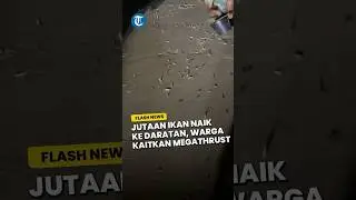 Ikan Terbang di Tasikmalaya! Warganet Kaitkan dengan Gempa Megathrust