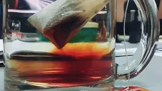 Timelapse. Из жизни одного чайного пакетика