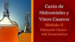 Cómo hacer HIDROMIEL (wild fermentation) - MÓDULO 11