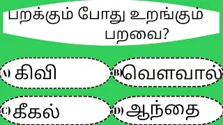 தமிழ் பொது அறிவு வினா விடைகள்|Tamil General Knowledge Questions with Answers|Tamil  gk quiz|gk quiz.