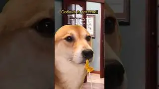 Опять они за своё🥲 