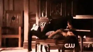 TVD - animals