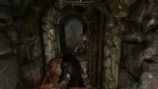 Skyrim Furry Animal