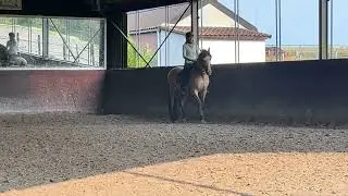A lesson with Jean Barbier in Belgium, Half Pass, Shoulder In and Travers at Trot