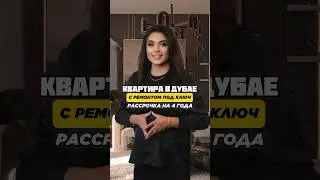 Дубай 2024 | Готовая квартира в Дубае РАССРОЧКА НА 4 года | Недвижимость в Дубае