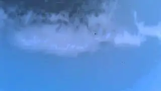 Видео 0003