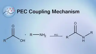 PEC Coupling Mechanism | Organic Chemistry