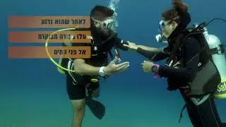 צולל בפאניקה