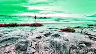 Copyright Free Ocean Beach Trippy Video