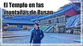 La razón por la que visito un Templo Budista // 내가 범어사를 가는이유