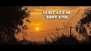 Cinematic Video Test  4:2:2 10 Bit 4K Footage Image RAW Shot - Sony A7III