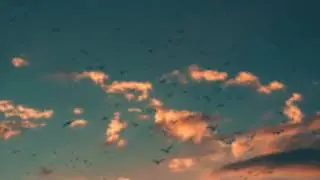 Shah - Afterglow