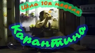Приколы 2020. Лучшие. Самое смешное.