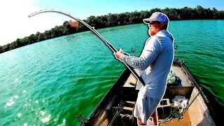 NONSTOP Rod Slamming Action from HUGE Catfish!