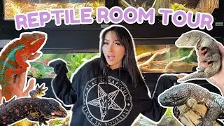 INSIDE MY DREAM REPTILE ROOM l MEET MY REPTILES