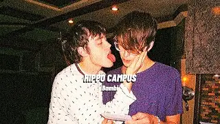 【和訳】Hippo Campus - Bambi