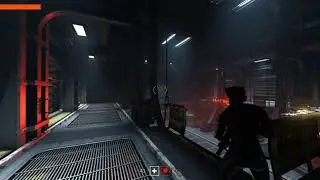 Wolfenstein  Youngblood  WTF?