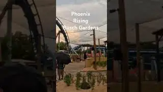 Phoenix Rising POV (off ride) newest Busch Gardens Tampa #buschgardens #rollercoaster