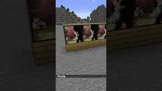 MINECRAFT PAINTINGS ARE ACTUALLY ENTITIES 