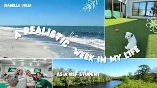 a realistic week in my life as a college student at USF