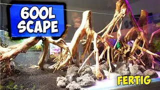 AQUARIUM EINRICHTEN, 600L SCAPE | JEDEN SCHRITT ERKLÄRT | Aqua Update