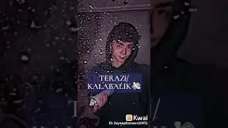 ~Burçların uyuz olduğu şeyler~