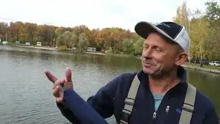 Обзор - нахлыстовые удилища Cadence.