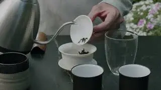 Brewing Oolong Tea in a Gaiwan