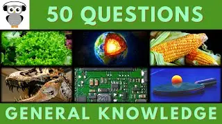General Knowledge Quiz Trivia #177 | Lettuce, Core of Earth, Ear Corn Hair, Dinosaur, Circuit Board
