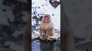 NOT shot on iPhone...